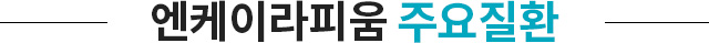 주요질환